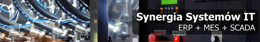 Logo konferencji Synergia Systemów IT